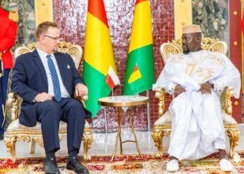 𝗣𝗮𝗹𝗮𝗶𝘀 𝗠𝗼𝗵𝗮𝗺𝗺𝗲𝗱 𝗩 :  𝟳 𝗻𝗼𝘂𝘃𝗲𝗮𝘂𝘅 𝗮𝗺𝗯𝗮𝘀𝘀𝗮𝗱𝗲𝘂𝗿𝘀 ont récemment présenté leurs lettres de créance