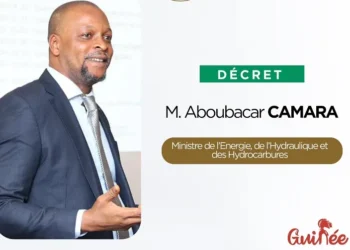 Ligne d&rsquo;interconnexion OMVS : « l&rsquo;activation de cette ligne permet d&rsquo;alimenter tous les sites stratégiques » selon le ministre de l&rsquo;énergie