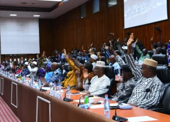 Plénière : adoption de la convention relative au développement de projet de gaz naturel liquéfié et d’unités de production d’énergie électrique