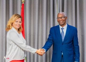 Nouvelle constitution guinéenne:  la représentante de l’Union européenne en Guinée espère que le contenu du document sera accepté par tous