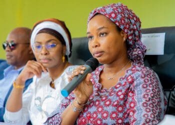 Environnement : La coupe du bois, son transport et son importation suspendues par le gouvernement (arrêté)