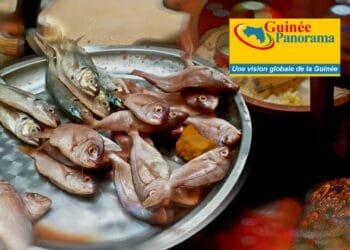 Repos biologique : le poisson se rarifie, son prix à la hausse (constat)