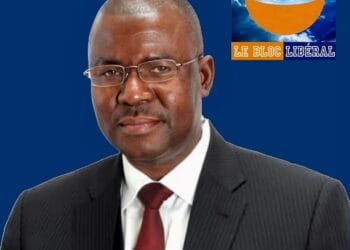 Tribune : « la Guinée n’a plus le potentiel hydro-électrique qu’on lui reconnaissait » (Dr Faya MILLIMONO)