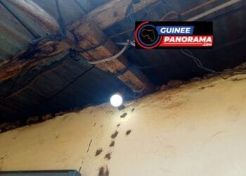 Conakry : des citoyens dénoncent le gaspillage du courant électrique