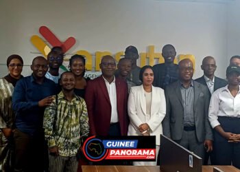 Télécommunications : La CAN Guinée reçue par l’ANSUTEN pour renforcer l’accès numérique