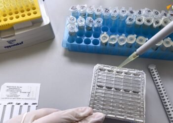 Qu’est-ce que la variole du singe, déclarée urgence de santé publique de portée internationale par l’OMS ?