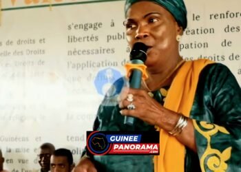 Nènè Youssouf à propos de la centrale flottante : « …C’est une grosse arnaque qui ne mérite pas d’être tolérée »