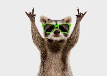 GuineePanorama Humour : arrêtez le retard dans le travail !