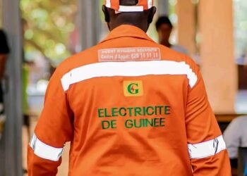 Électricité : EDG a enfin un nouveau Directeur général !
