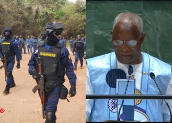 Haïti « la martyre » : 650 policiers et gendarmes guinéens bientôt déployés