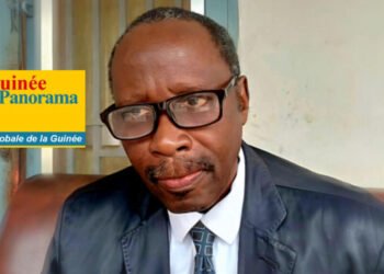 L’Afrique sans droit de veto au Conseil de Sécurité : « ça ne signifie pas grand chose », déclare Thierno Boubacar TOUNKARA