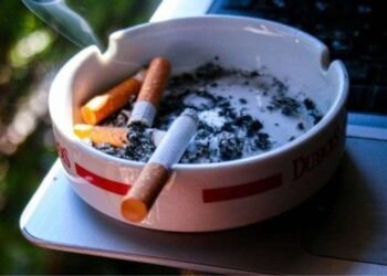 Malawi : La filière tabac a généré 396,3 millions $ de recettes au terme de la saison de vente de 2024 et contribue pour 15 % du PIB