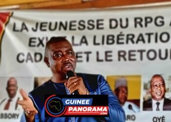 Politique : le RPG critique la reconnaissance des institutions internationales envers la junte guinéenne