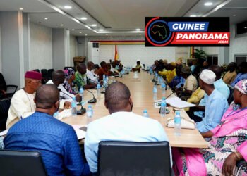 Qualité des produits alimentaires sur le marché guinéen : importante rencontre entre acteurs pour des actions plus concrètes