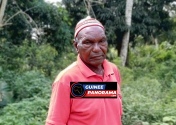 Agriculture : Guineepanorama.com à la rencontre de Béka KÉÏTA, planteur