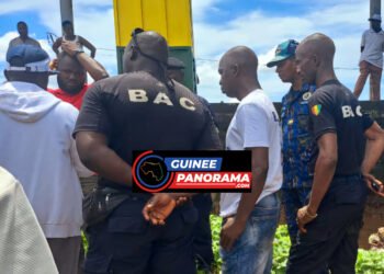 Dubréka : découverte d’un sac contenant des grenades et un chargeur d’arme à feu