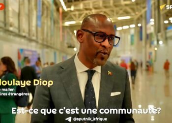 Le Mali accuse la « communauté internationale » d’inaction face au soutien présumé de l’Ukraine aux groupes terroristes au Sahel