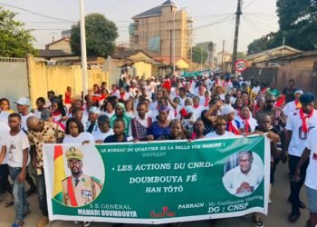 Le collectif des anciens ministres du CNRD a-t-il révélé son vrai visage ?