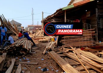 Levée de la suspension de l’exploitation du bois : les acteurs expliquent leur galère