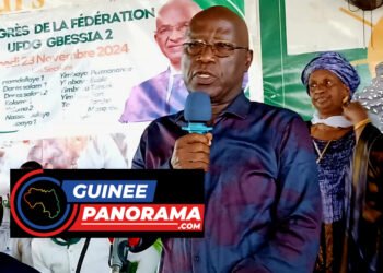 UFDG :  la fin du renouvellement des structures à la base prévue en novembre avant le grand congrès du parti (Kalémodou YANSANÉ)