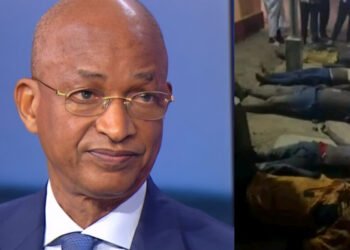 Drame de N’Zérékoré : l’ANAD condamne et tient « responsable » le CNRD