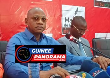 Fin de la transition : « …nous devons nous mettre tous d’accord sur une nouvelle durée de la transition » (Diaspora)