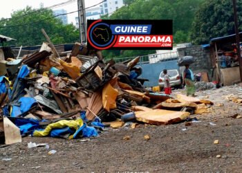 Déguerpissement au débarcadère de Téménetaye : une opération contre la consommation de la drogue kush