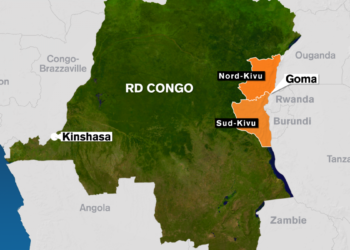 Tensions à Goma : « Oui, une partie de cette ville est sous contrôle des rebelles », témoigne un activiste congolais 