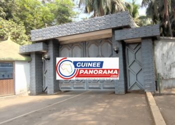 Mohamed TOURÉ de retour en Guinée : une visite sous haute surveillance