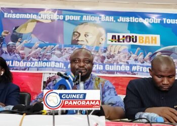 Condamnation d’Aliou BAH : un appel à Conakry et plainte déposée à la CEDEAO, selon Me Pépé Antoine LAMAH
