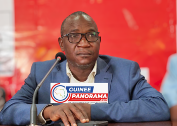 Drame au Stade de N’Zérékoré : « …nous allons déposer une plainte de façon régulière contre des personnes bien nommées et identifiées… » (ONG)