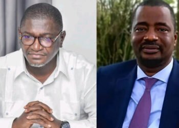 Tibou à Guillaume HARWING : « Doit-on utiliser un canon pour tuer une mouche ? »