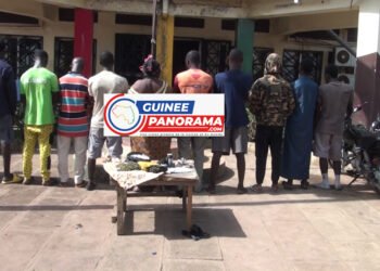 Coyah : présentation de 12 présumés trafiquants et consommateurs de drogues dures