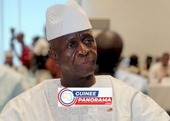 Dissolution des partis politiques : « le plus souvent… ces partis sont vendus » (Djenabou TOURÉ)