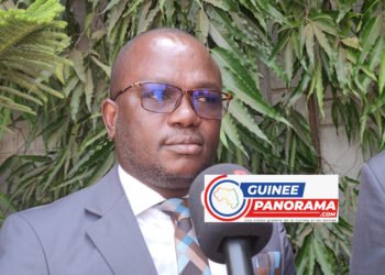 Drame au Stade de N’Zérékoré : le Tribunal de Première Instance de N’Zérékoré saisi par une plainte